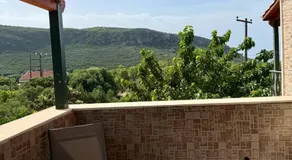 Golden Island - Image 5