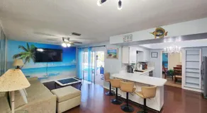 Largo, Fl Heated Pool 2 miles from Indian Rocks Beach Pets - Image 2