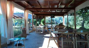 Agriturismo Villa Vetiche - Image 3