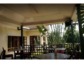 Taidy's Kericho - Image 3