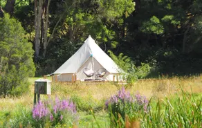 Iluka Retreat Glamping Village & Group Lodge Accommodation - Image 4