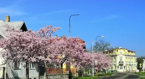 Hotel Modrá hvězda Sadská - Image 4