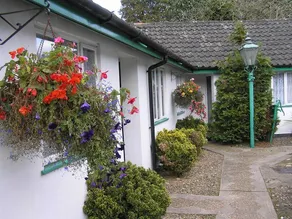 The Willow House - Image 4