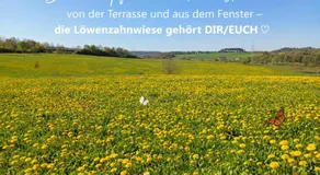 NaturZentral - Digital Detox, Kreativ-Auszeit, Sauna und Weitblick - Image 3