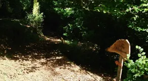 Little Woodacott - Image 3
