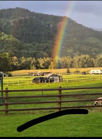 Cedar Glen Farmstay - Image 4