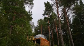 Glassigloo med panoramautsikt - Nordlys og stjernehimmel - Fosen - Image 5