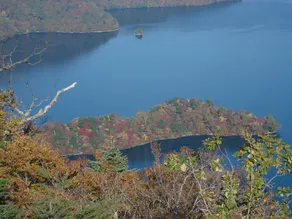 Nikko Astraea Hotel - Image 5