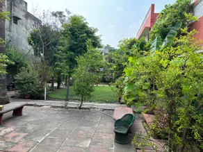 Jungle Lodge - Image 2