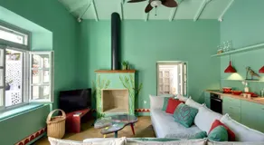 Cactus Hydra - Art Apartments - Image 5