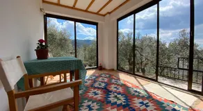 Lamin House - Image 3