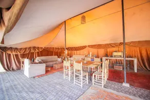Camp Cameleon - Image 3