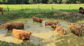Farma Horní Paseky u Aše - Image 4