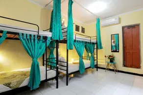 Laura's Backpacker 523 - Image 1
