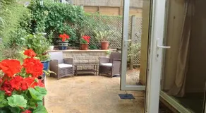 Sunny Patch - Image 4