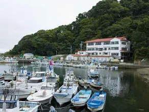 Misaki - Image 3
