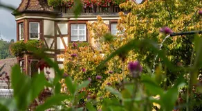 Santolina Etrusca Bed and Breakfast, Sauna, Hammam, Jacuzzi - Image 5