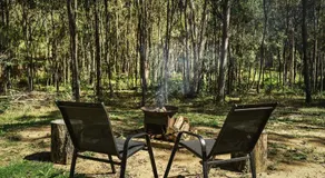 Birdsong Haven by Tiny Away - Image 5