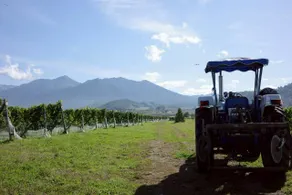 Winery Inn Inaka Club - Image 4