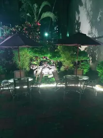 Jungle City Motel - Image 4