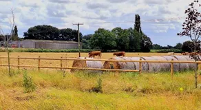 Luxury Farm Breaks - Image 5