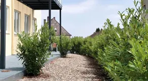 Alte Post - Image 5