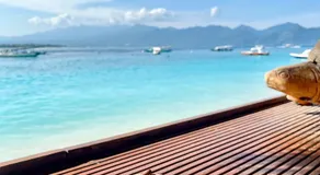 Kura Kura Resort Gili Meno - Image 5