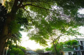 Baan Boonanan Apartment - Image 4