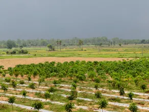 Aranya Bithi - Image 5