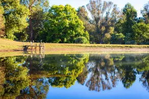 Lewana Cottages - Image 4