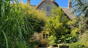 The Burrow - Image 2