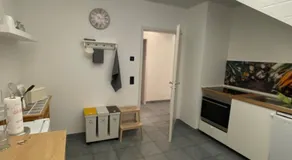 Altrhein Hideaway ruhige Ferienwohnung nahe Frankfurt ideal für Natur & Radfahrer - Image 4