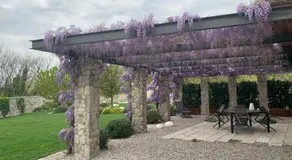 House Wisteria - Image 5