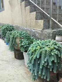 Yumingmingdu Hotel - Image 2