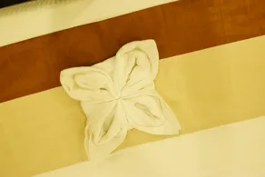 Hotel DR Indraaprasthaa - Image 1