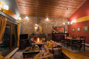 Dandy Villas Elatodasos - Chalet Artemis - Fir Forest - Jeep & Nature Lovers - Image 5