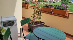 i fiori del Feo - Image 4