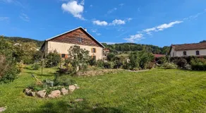 Chambre climatisée avec salle d'eau privative et accès jardin - FR-1-589-664 - Image 3