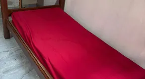 Casa na Floresta - Image 4