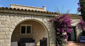Torriciola location villa mûrier - Image 4