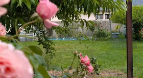 Chambre studio - Image 2