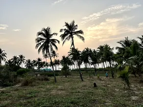 O Palmar Beach Cottages - Image 3
