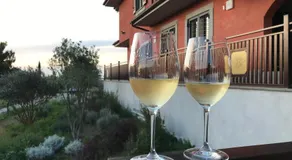 B&B Bee - Image 5