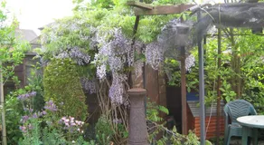 24 Fairfield Road - Image 4