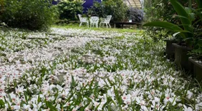 Maison-Philo Homestay B & B - Image 4