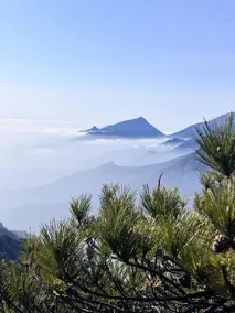 Wugongshan Fondney Hot Spring Hotel - Image 5