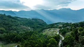 Georgian Homestay, Kanthalloor - Image 4
