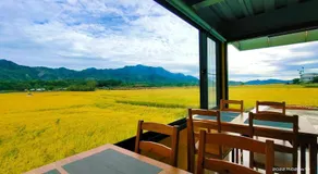 小葉園民宿Little Ya B&B-臺東縣民宿1847號 - Image 3
