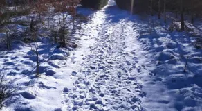 Oeroeboeroe - Image 3
