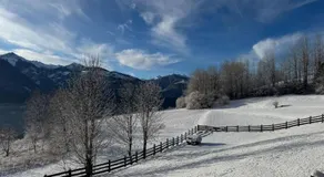 B&B Belvedere - Image 3